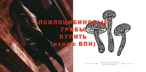 стаф Абинск