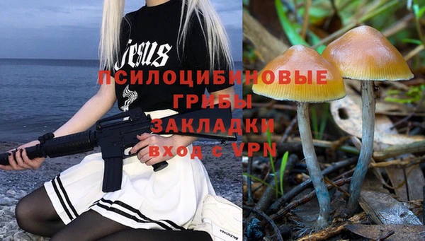 гашик Алзамай