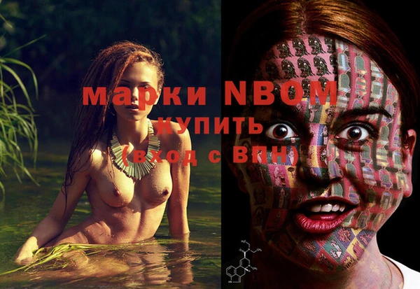 гашик Алзамай