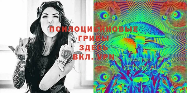 дживик Семилуки