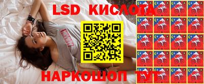 стаф Кулебаки
