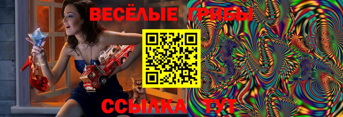 Галлюциногенные грибы Psilocybe Елизово