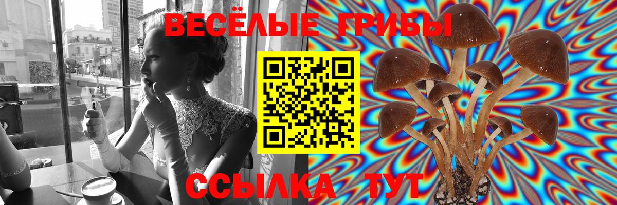 Галлюциногенные грибы Magic Shrooms  Вход с VPN  Елизово  где найти   Псилоцибиновые грибы MAGIC MUSHROOMS 
