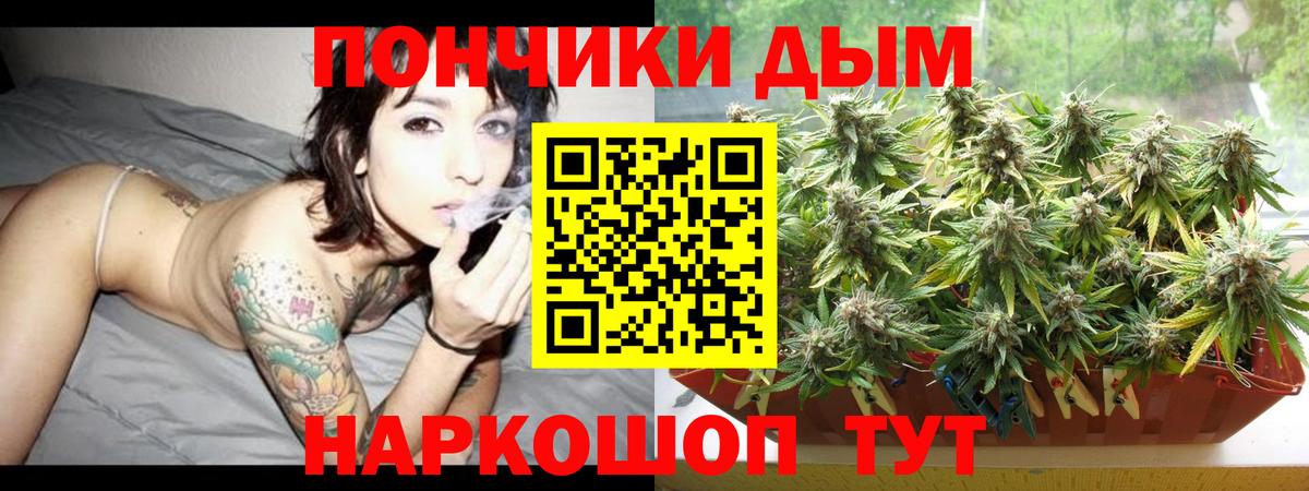 Бошки марихуана конопля Елизово